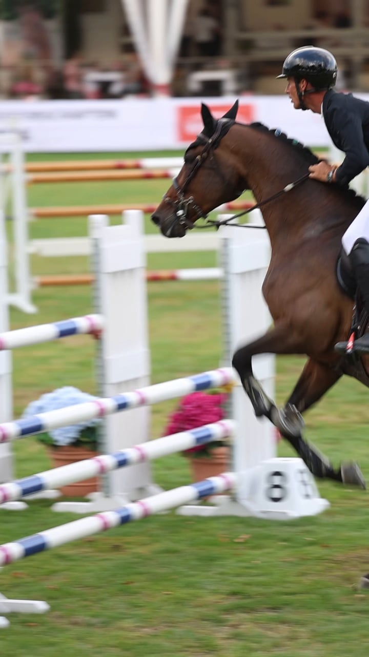 Horse and rider in the showjumping arena