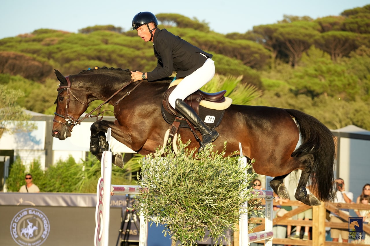 Alain Jufer and a bay horse with colourful mane pins jumping in golden sunlight