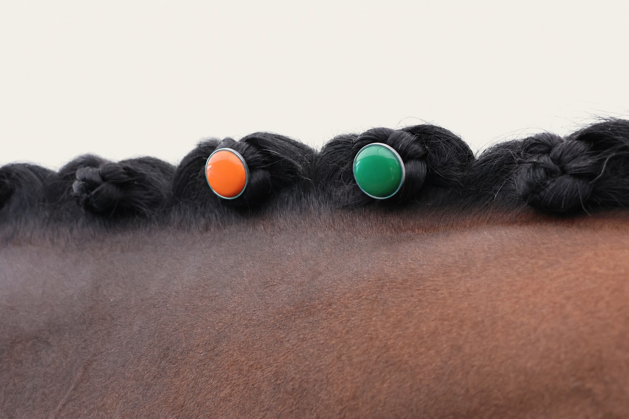Orange and green pins resting against compact braided mane