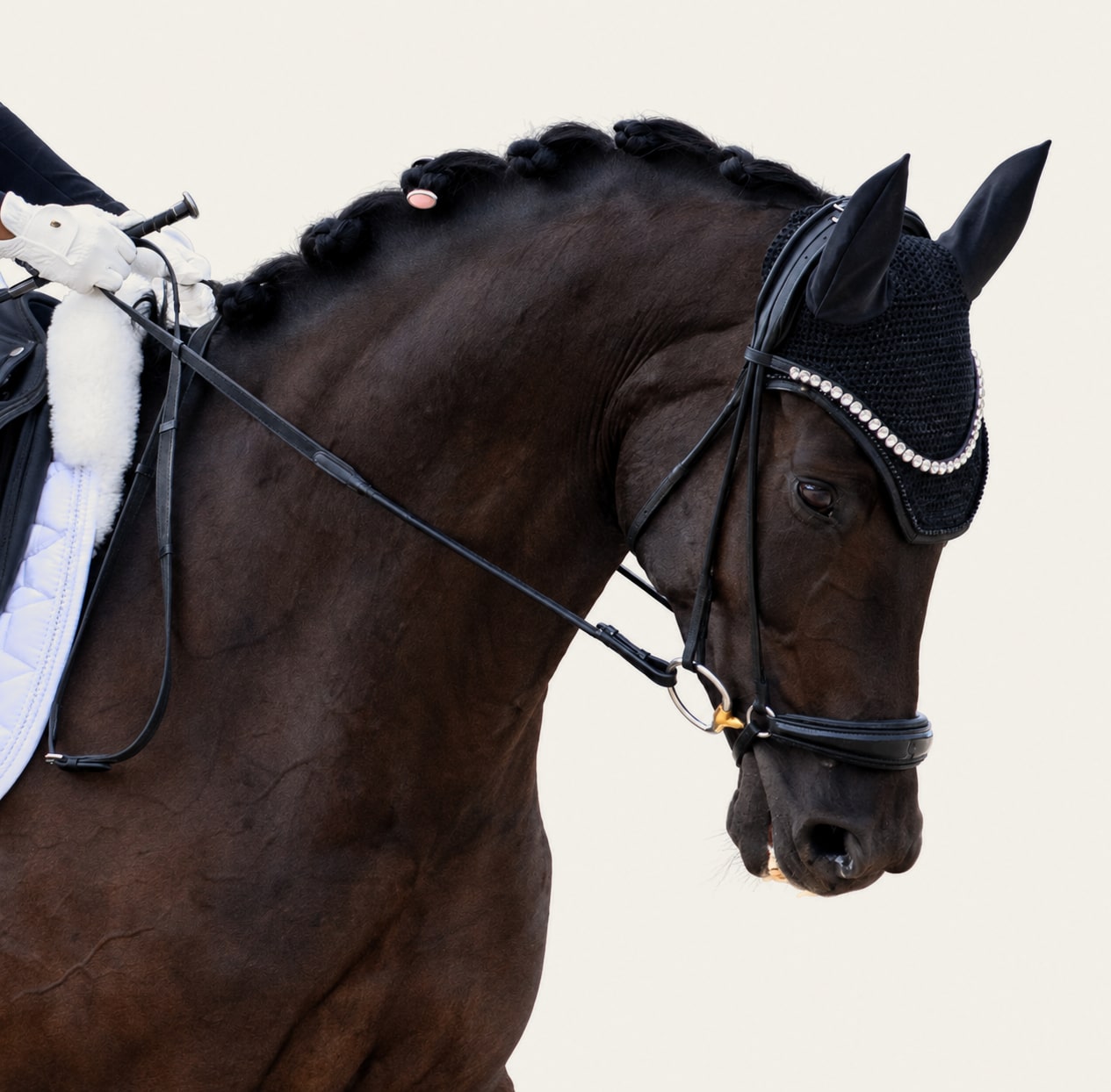 A pin tipping over on the puffed-up braid of a dark horse
