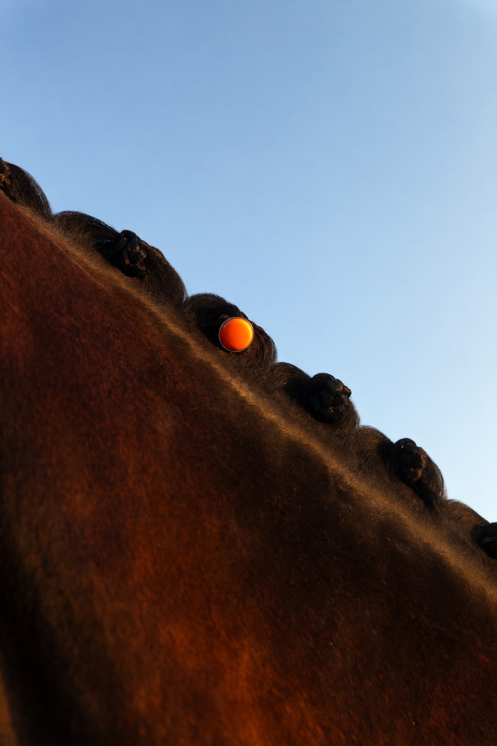 Mandarine, fitted into a carefully braided mane